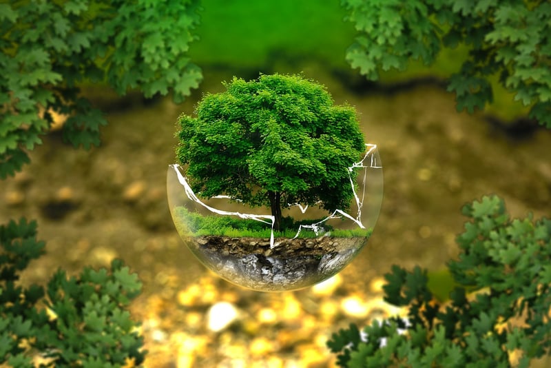 Life Beyond Earth
